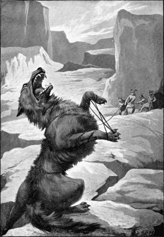 Norse